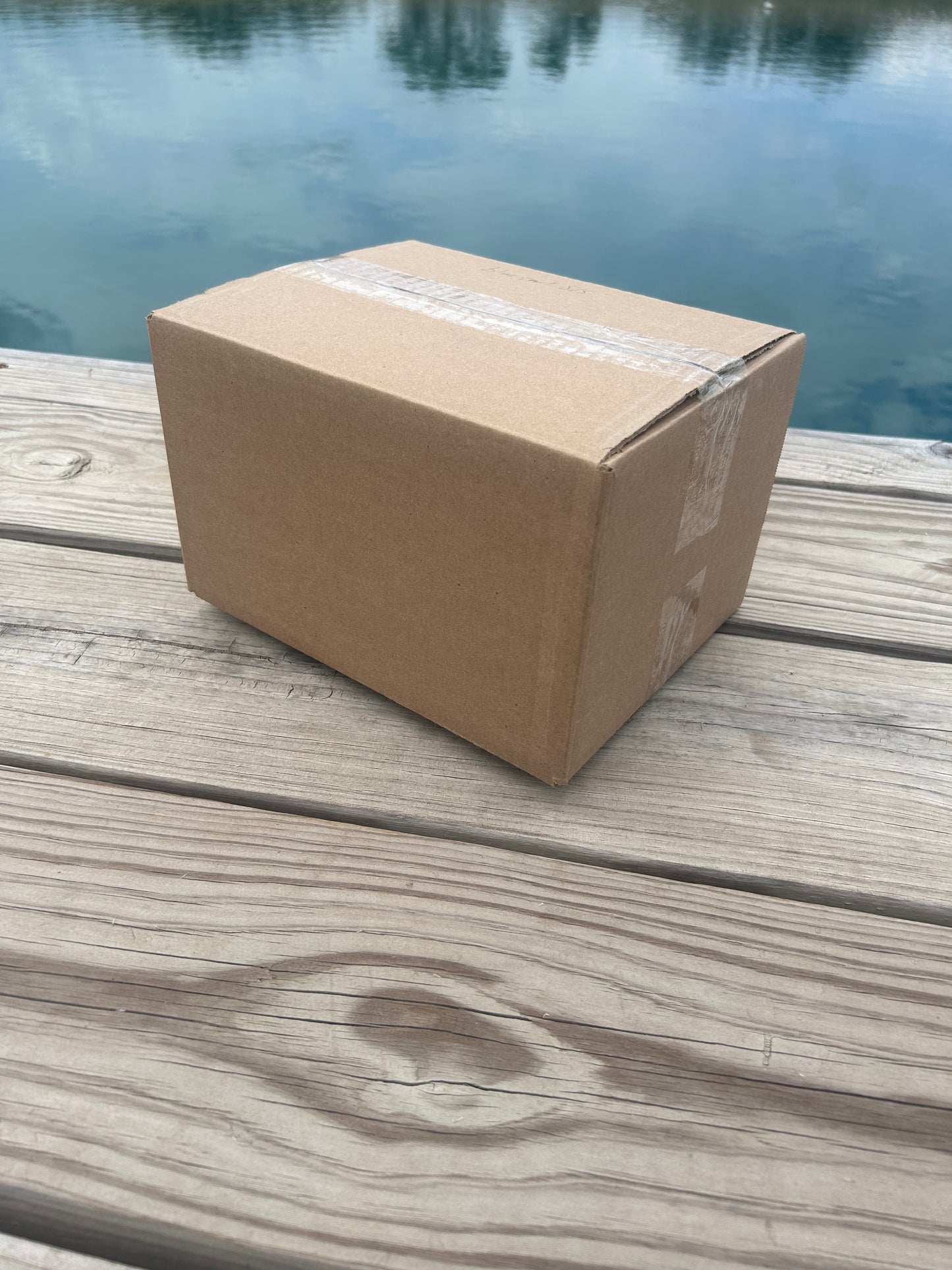 Starter Mystery Box